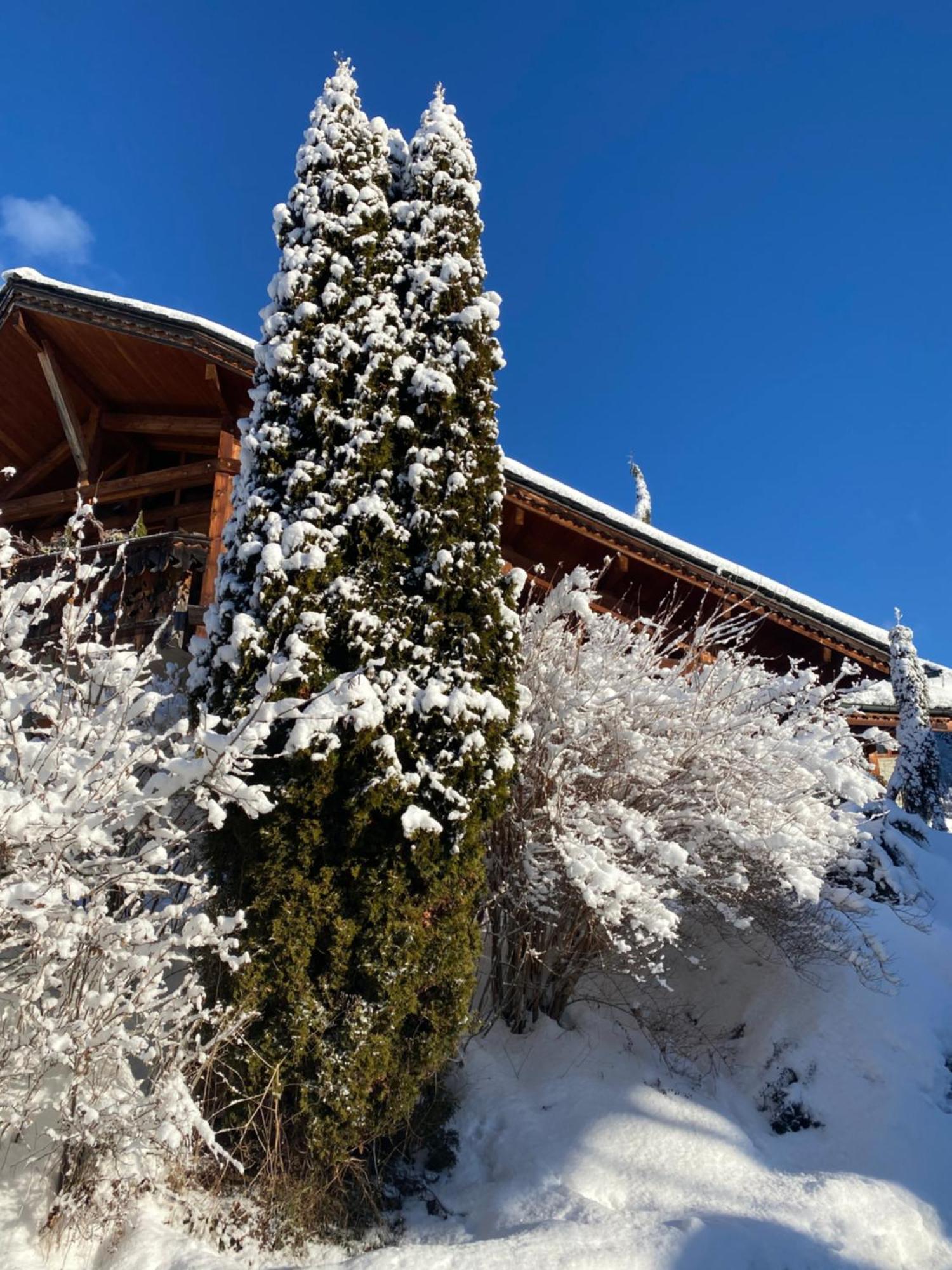Micro-Lodge, Jardin Secret Montriond Exterior photo
