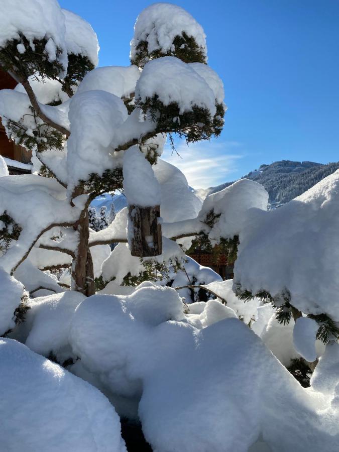 Micro-Lodge, Jardin Secret Montriond Exterior photo