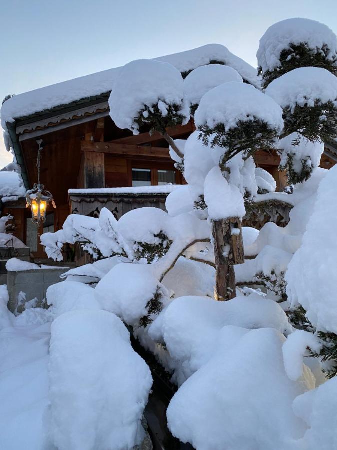 Micro-Lodge, Jardin Secret Montriond Exterior photo